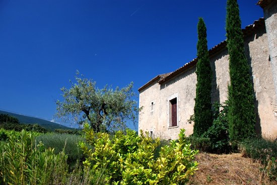 In der Provence