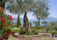 Gardasee
