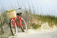 Zeeland Rad Strand