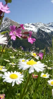 Holiday home vacation in Austria